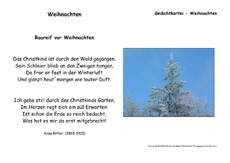 Raureif-vor-Weihnachten-Ritter.pdf